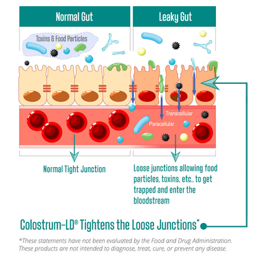 Colostrum-LD Powder Natural Vanilla Flavor - Sovereign Laboratories